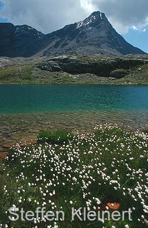 dolomiten - stelfio 010